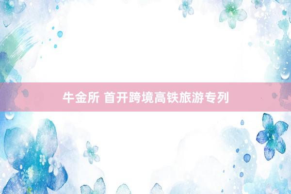 牛金所 首开跨境高铁旅游专列