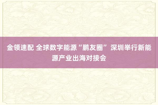 金领速配 全球数字能源“鹏友圈” 深圳举行新能源产业出海对接会