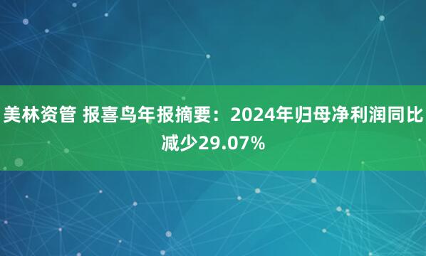 美林资管 报喜鸟年报摘要：2024年归母净利润同比减少29.07%