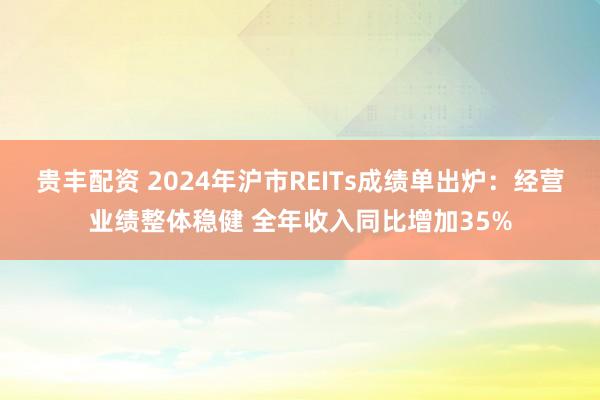贵丰配资 2024年沪市REITs成绩单出炉：经营业绩整体稳健 全年收入同比增加35%